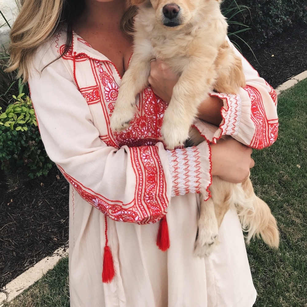 Pink, embroidered, Free People dress